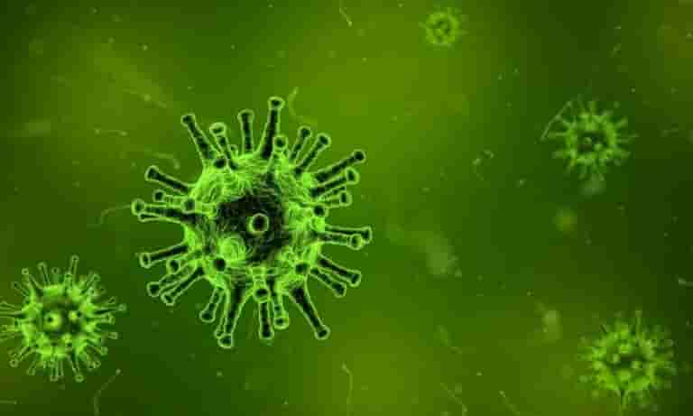 New Documents Claim Wuhan And U.S. Scientists Planned To Make Coronaviruses