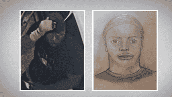 Jogger Sexually Assaulted, Robbed At Memorial Park – Police Release Sketch Of Suspect