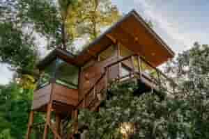 Tree house Rentals in Texas
