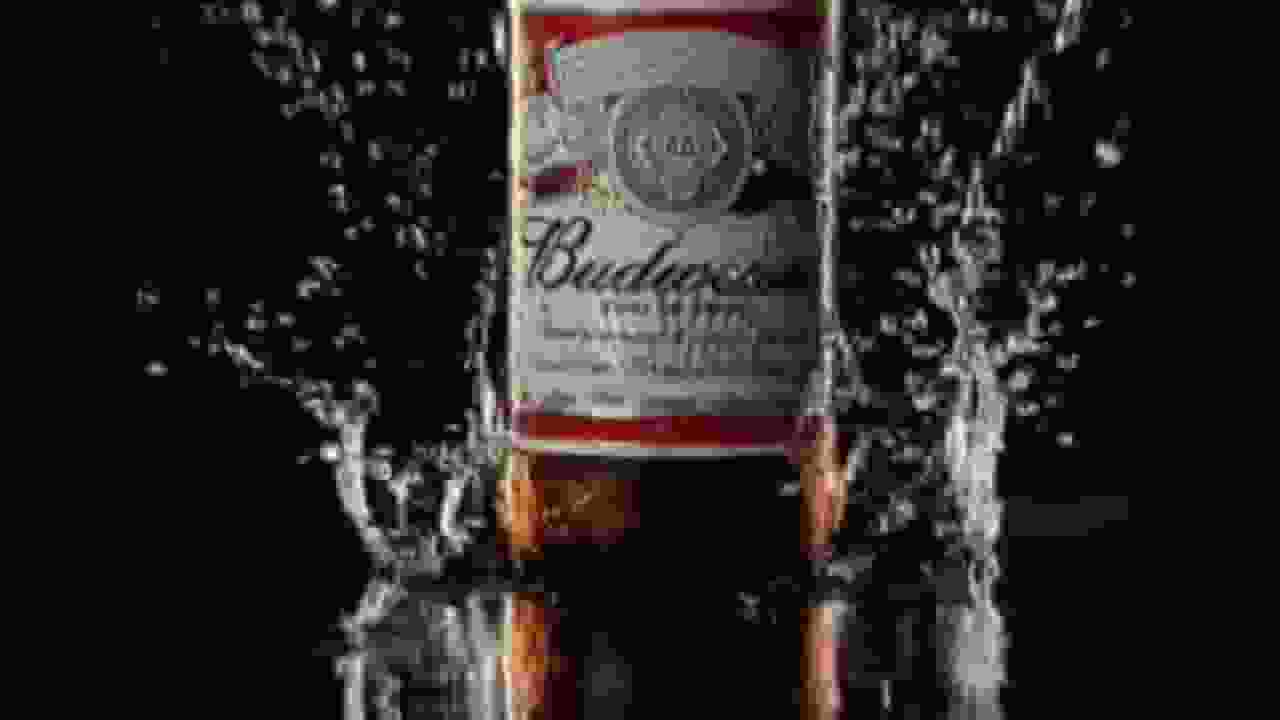 containers budweiser beer brand contributors