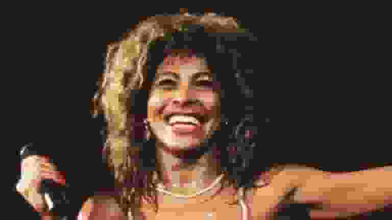 tina turner net worth