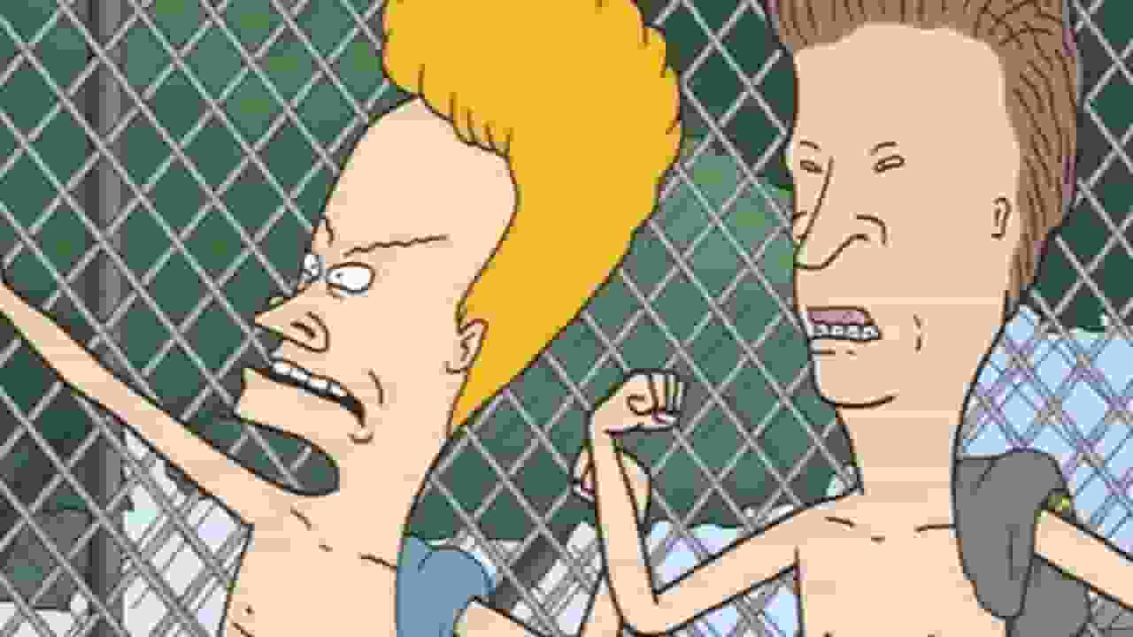 About the Beavis and butthead Series