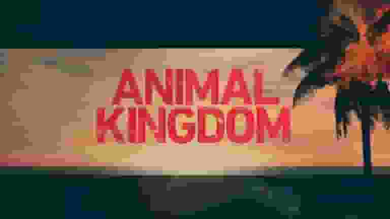 animal kingdom season 5 cast