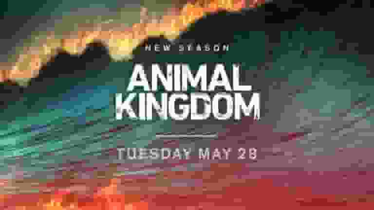 animal kingdom season