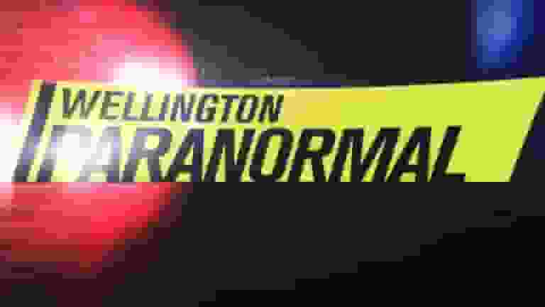 wellington paranormal