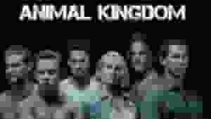 animal kingdom season 4 coming to prime uk