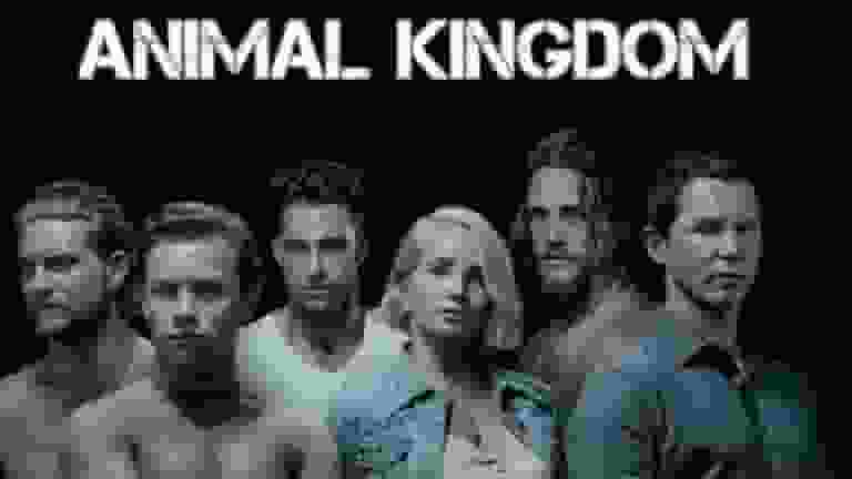 animal kingdom season 4 coming to prime uk