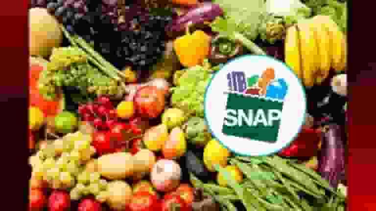 Replacement SNAP benefits