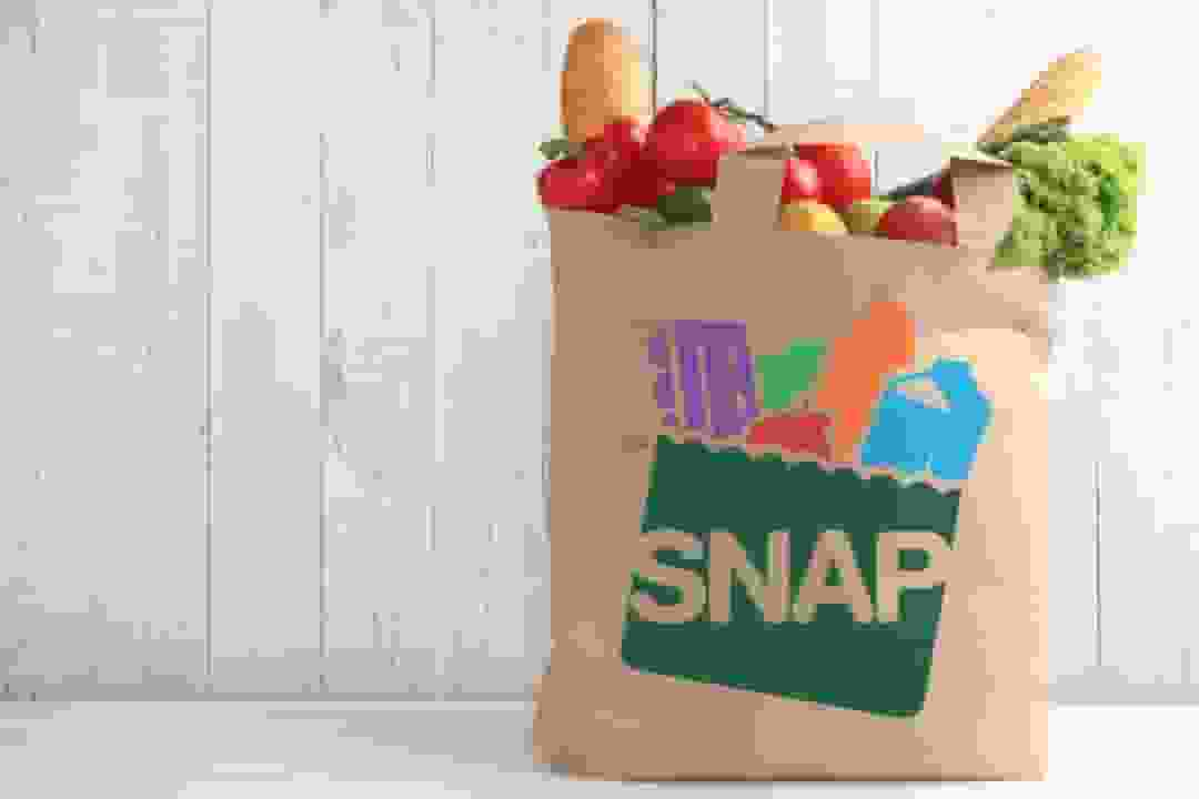 snap-groceries