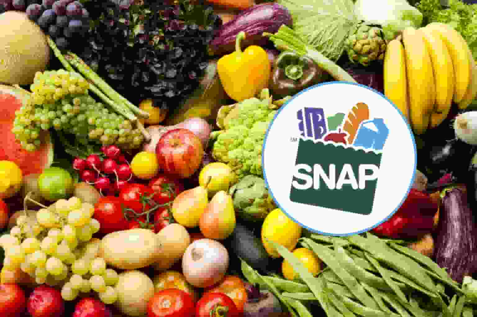 SNAP Benefits in Texas The New Limits for 2023! Texas