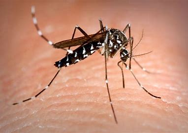 Deadline Approaching for $3.6 Million Settlement in Spartan Mosquito Repellent…