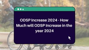 $1308 ODSP benefits coming in january 2024