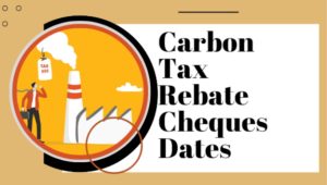 CAI Payment Cheques 2024