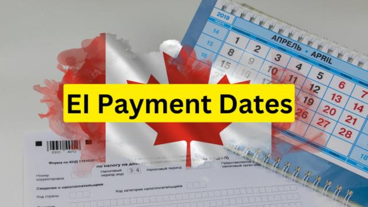 EI Payment Date 20241