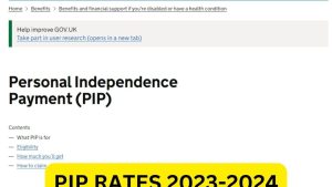 PIP Rates 2023-2024